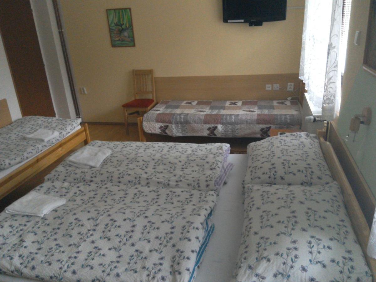 Apartmany Pod Suchym Vrchem Orlicky Экстерьер фото