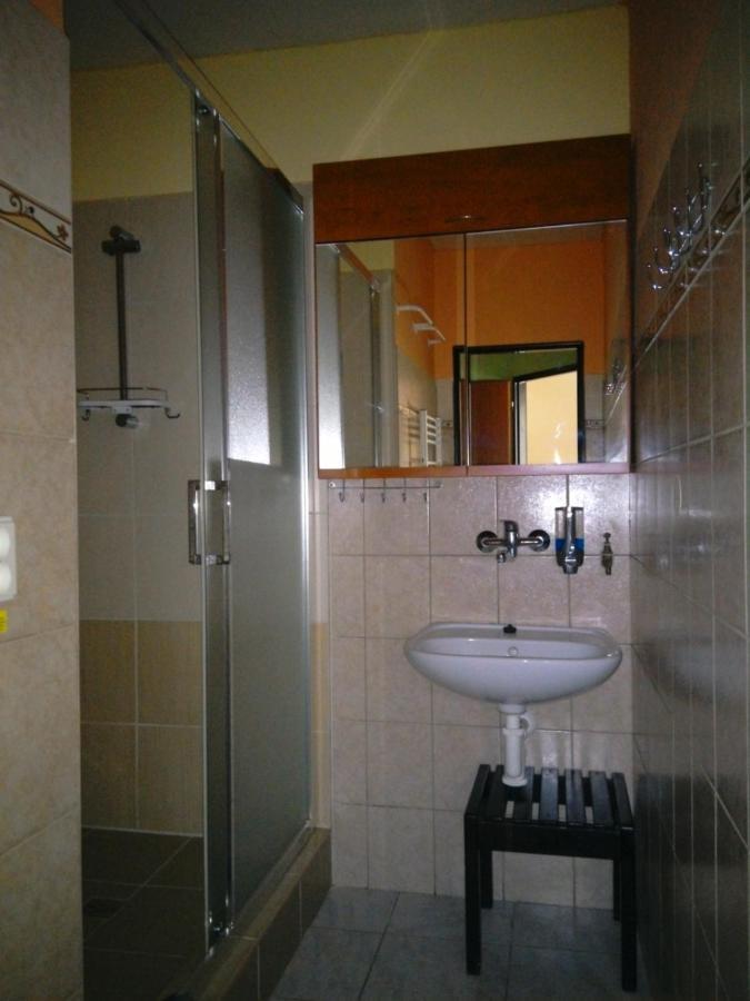 Apartmany Pod Suchym Vrchem Orlicky Экстерьер фото